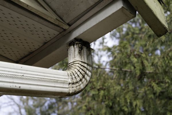 Cost of Roof Drain Replacement in Naples