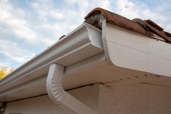 Cost of K Style Gutter Replacement in Naples