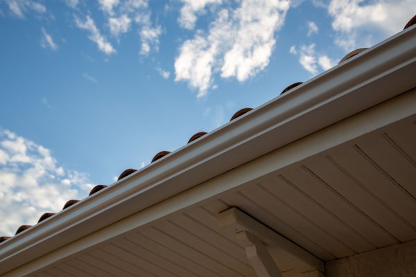 Cost of K Style Gutter Installation in Naples