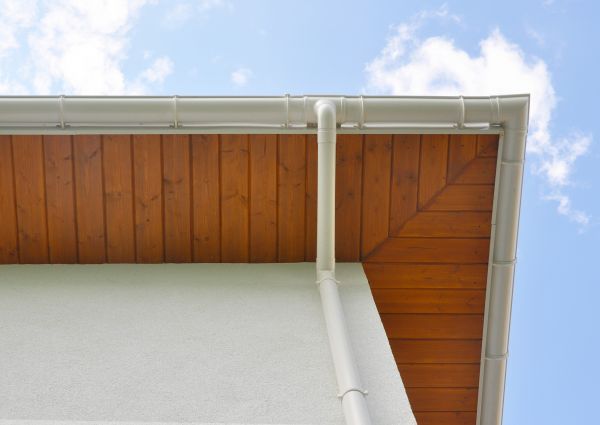 Cost of Downspout Diverter Service in Naples