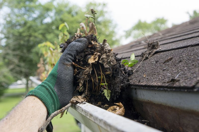 Clean Gutters with Debris Removed